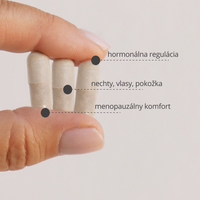 Menopauza